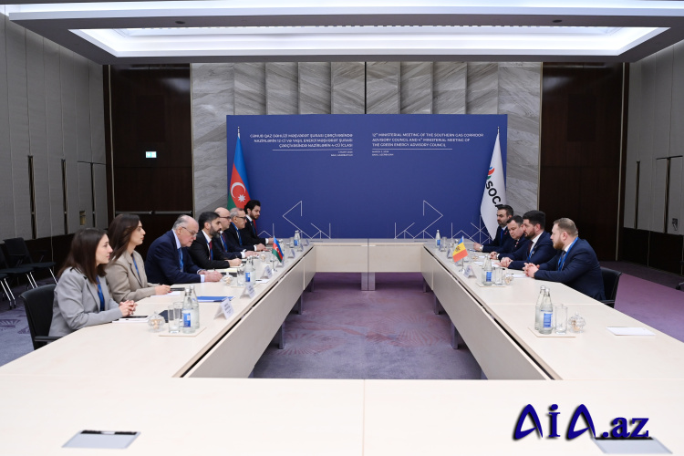 SOCAR-ın prezidenti Moldovanın energetika naziri ilə görüşüb