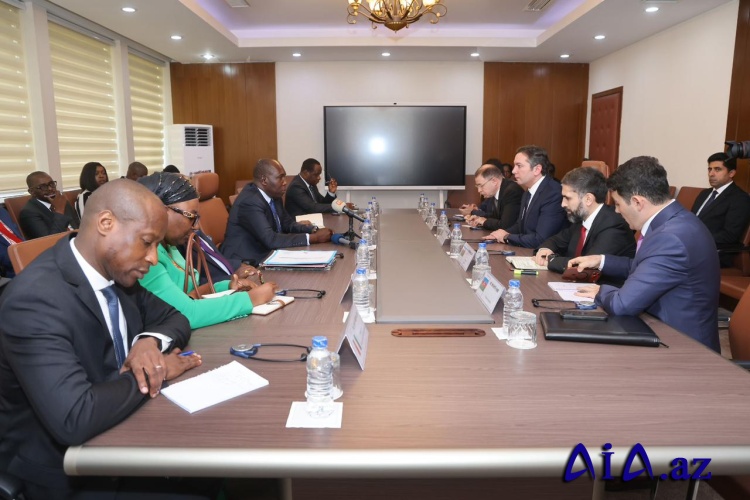 SOCAR-ın prezidenti Kot-d’İvuarda səfərdə olub