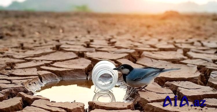 Ekoloqdan SOS: yağışlardan sonra görünməmiş quraqlıq gözlənilir