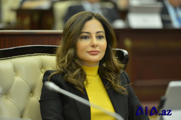 Azərbaycan regional təhlükəsizliyə önəm verir