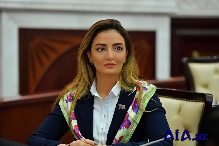 “Xocalı soyqırımı azərbaycanlılara qarşı etnik nifrətin ən qəddar forması idi”