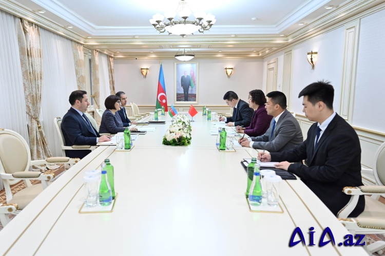 Sahibə Qafarova Çinin ölkəmizdəki səfiri ilə görüşüb