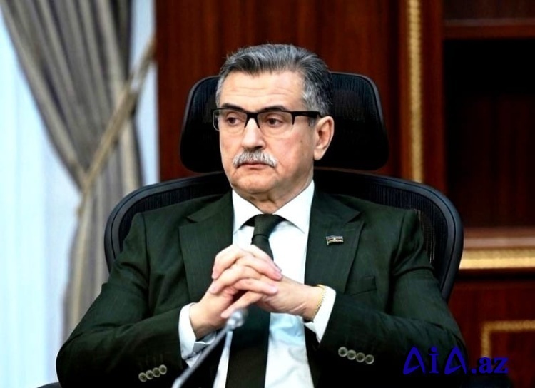 Novruzəli Aslanov: “Zərifə xanım Əliyevanın fəaliyyəti həm də sosial ədalət və insanpərvərlik prinsiplərinin həyata keçirilməsi kimi dəyərləndirilir”