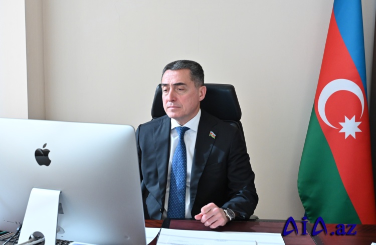 Milli Məclis komitələrinin videokonfrans formatında birgə iclası keçirilib