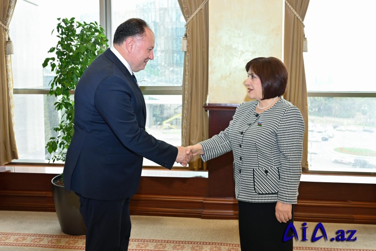 Sahibə Qafarova Azərbaycan, Türkiyə və Şimali Kipr parlamentlərinin dostluq qruplarının 3-cü görüşünün iştirakçıları ilə görüşüb