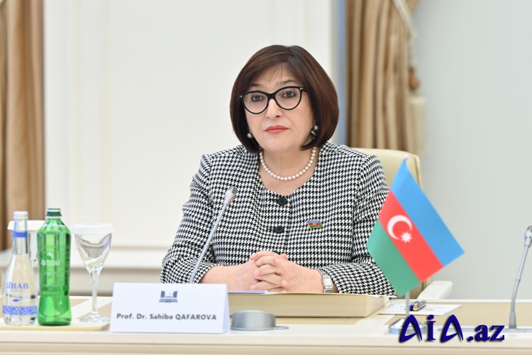 Milli Məclisin sədri Sahibə Qafarova Litvanın Baş naziri ilə görüşüb