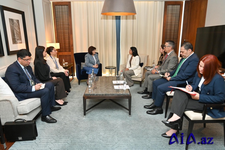 Sahibə Qafarova Venesuela Parlamentinin vitse-spikeri ilə görüşüb