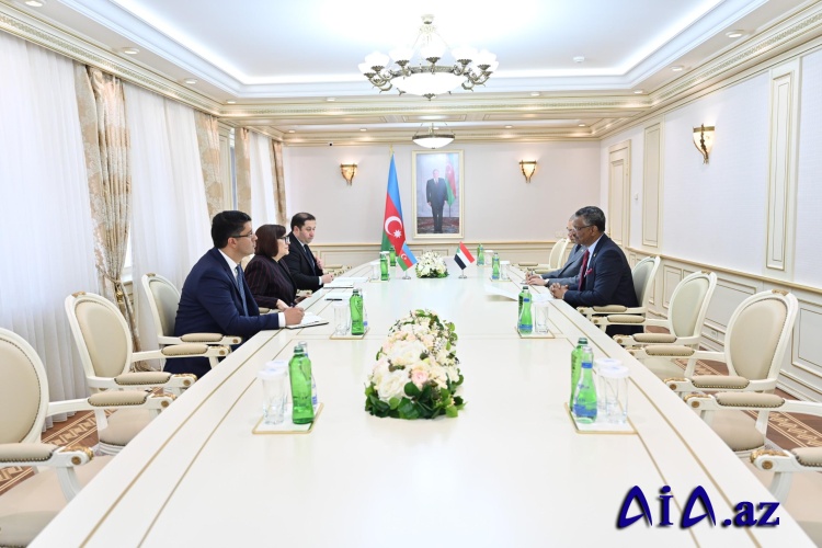 Milli Məclisin sədri Sahibə Qafarova Sudanın ölkəmizdəki fövqəladə və səlahiyyətli səfiri ilə görüşüb