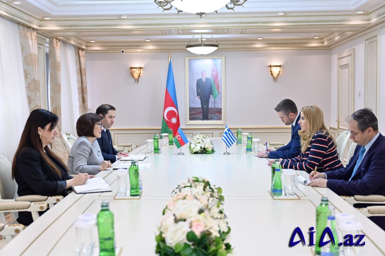 Milli Məclisin sədri Sahibə Qafarova Yunanıstanın ölkəmizdəki səfiri ilə görüşüb