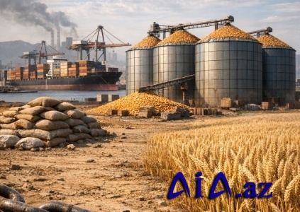Qlobal Ərzaq Qiymətləri Yeni Rekord Səviyyəyə Çatır