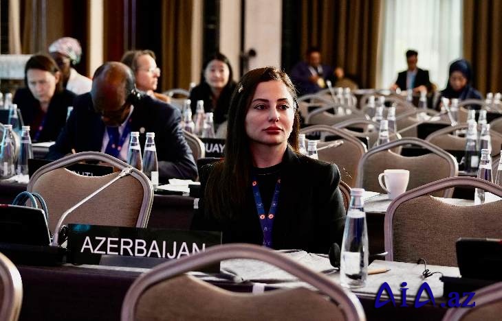 "Azərbaycan kibertəhdidlərə qarşı effektiv mübarizə aparır"