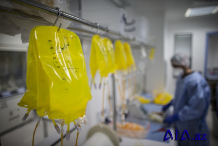 Xərçəngə qarşı inqilabi “MAT” texnologiyası – Türk alimlərindən ümidverici kəşf