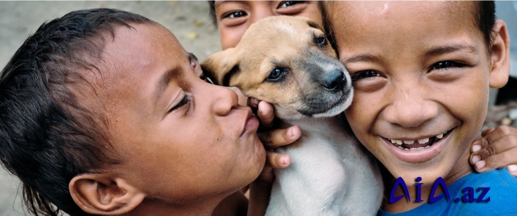 Lyonda “One Health” Təhsili üzrə Film Göstərimi və Müzakirə Tədbiri Keçirildi