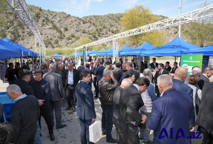 Laçın rayonunda Aqrar Biznes Festivalı keçirilib