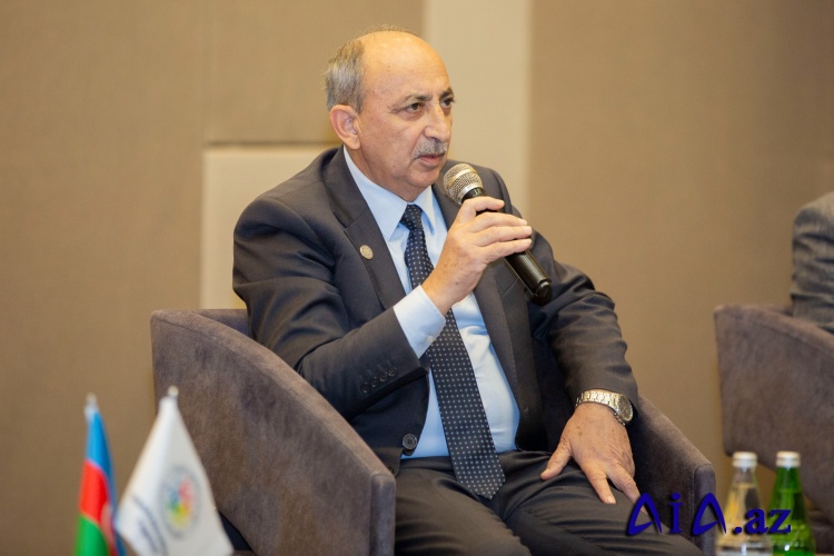 Azərbaycan-Çexiya münasibətləri iqtisadi rifah və strateji inamın təntənəsidir