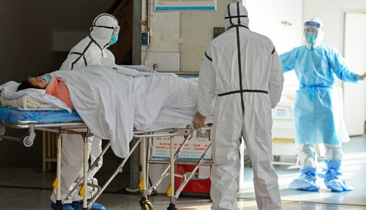 Dəhşətli virus 190 nəfərin həyatına son qoydu - Lassa qızdırması sürətlə yayılır