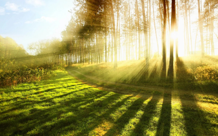 15 may üçün hava XƏBƏRDARLIĞI – temperatur 30 dərəcəyə yüksəlir
