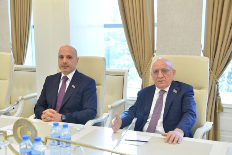 Milli Məclisdə MDB PA-nın nümayəndələri ilə görüş keçirilib
