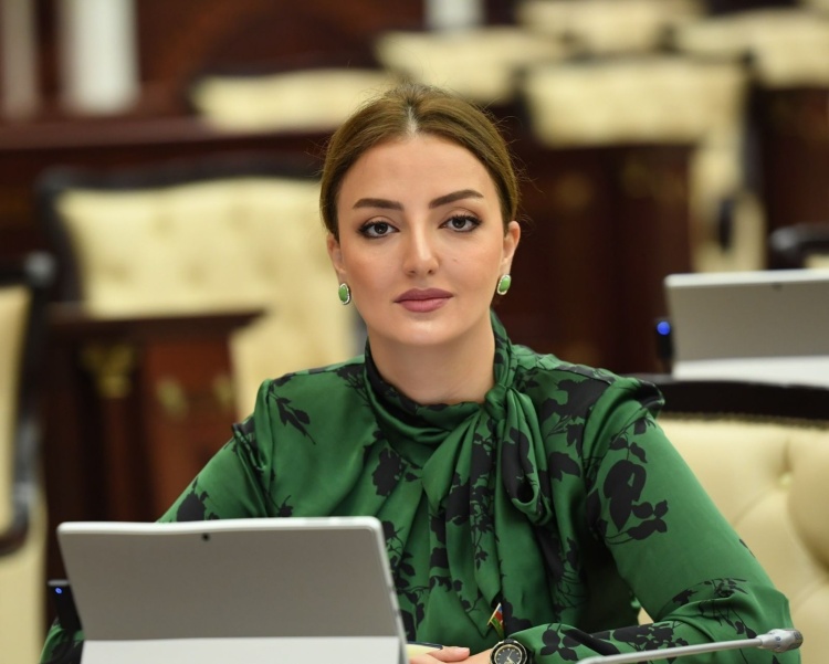 “Qarabağ və Şərqi Zəngəzurda həyata keçirilən su layihələri  aqrar inkişaf strategiyasının mühüm hissəsidir”