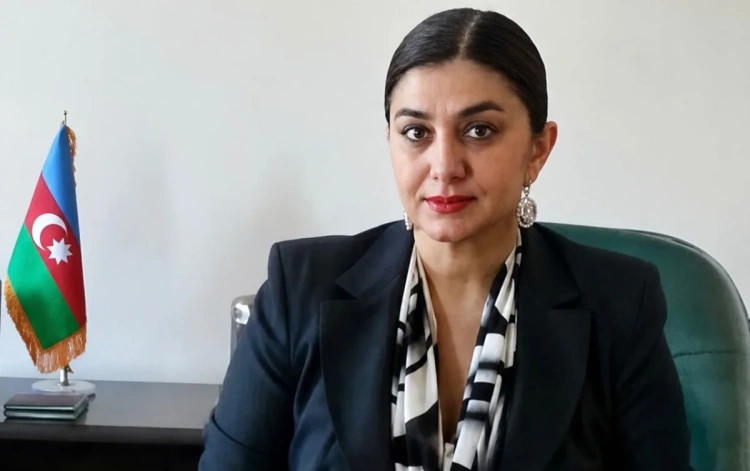 Baş nazirin müavini kommunal ödənişlərini etməyib
