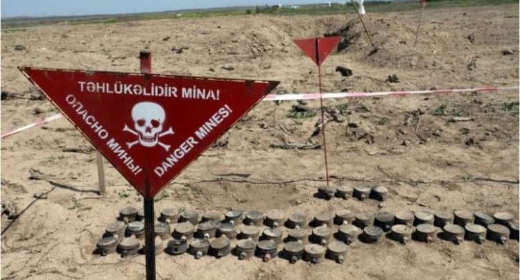 ANAMA: Bir həftədə 1668,8 hektar ərazi minalardan təmizlənib
