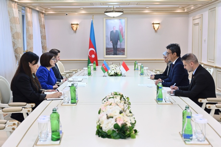 Milli Məclisin sədri  İndoneziyanın ölkəmizdəki səfirini qəbul edib
