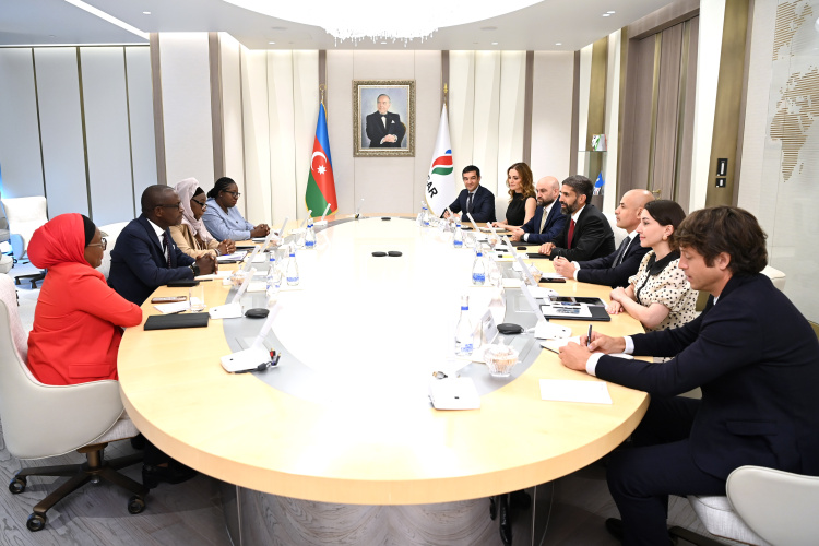 SOCAR-ın prezidenti "PETROCI Holding"in baş direktoru ilə görüşüb