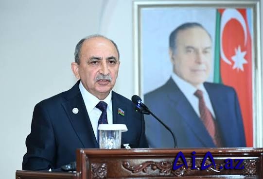 Ana dilimiz milli varlığımızın və dövlətçiliyimizin sütunudur