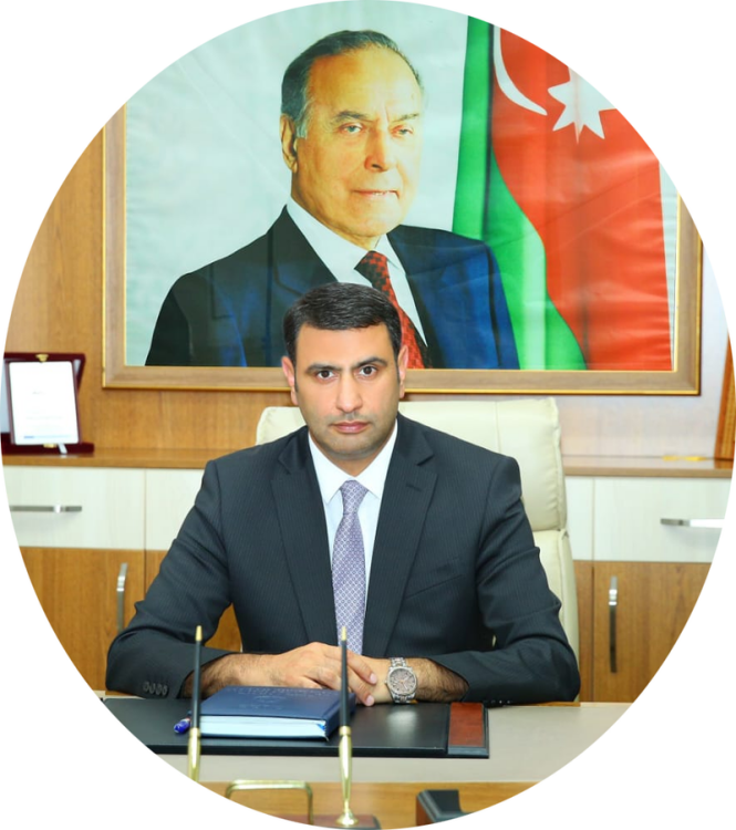 Biləcəridə evlər söküldü, ağaclar kökündən çıxarıldı - Ərazini alan sahibkar kimdir?