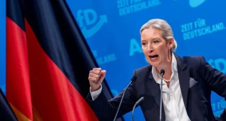 AfD-dən Almaniya üçün RADİKAL PLAN: Şengendən çıxış, sərhədlərin bağlanması və avrodan imtina