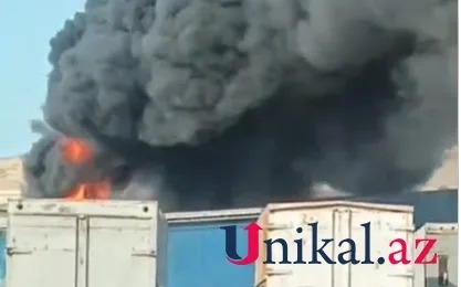 “Meyvəli” bazarında yanğın - VİDEO