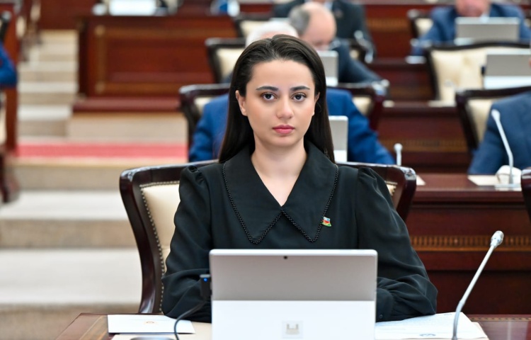 Çıxış Türk Dövlətləri Təşkilatının daha da möhkəmlənəcəyinə inam kimi tarixləşdi