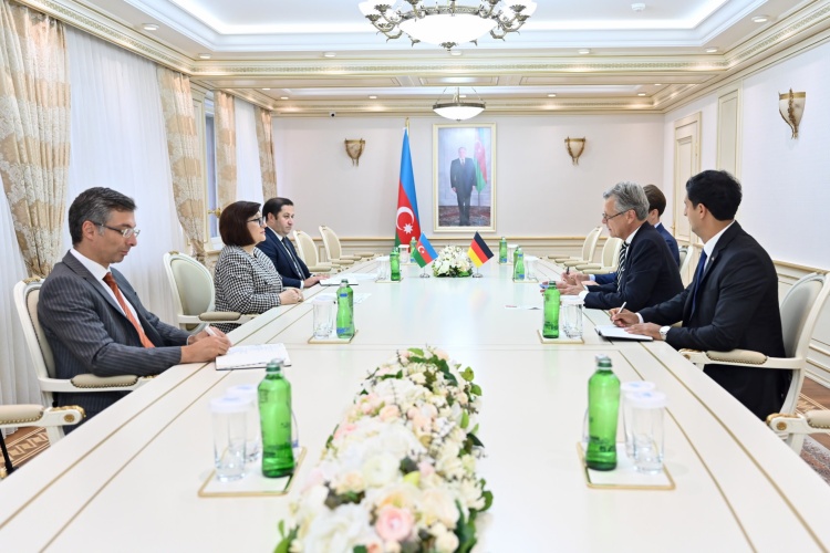 Milli Məclisin sədri Almaniyanın Azərbaycandakı səfiri ilə görüşüb