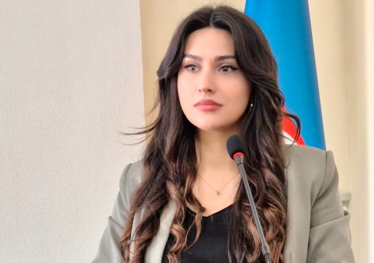 Diplomatik səfər Ermənistanın revanşist yanaşmalarını bir daha üzə çıxardı