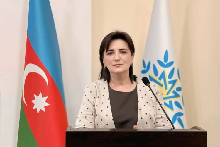 Zəfərdən yeni tarixi mərhələyə: YAP-ın VIII qurultayı və dövlətçilik məsuliyyəti